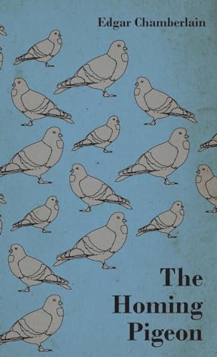 The Homing Pigeon