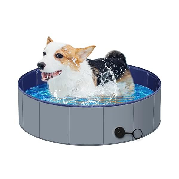 Portable Dog Pool for Small Dogs and Kids - Fun and Safe!