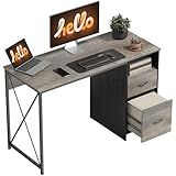 HOMCOM Mesa de Ordenador, 120x50 cm, Escritorio de Ordenador Industrial con Compartimento y 2 Cajones, para A4, Cartas, para Oficina, Estudio, Gris Claro
