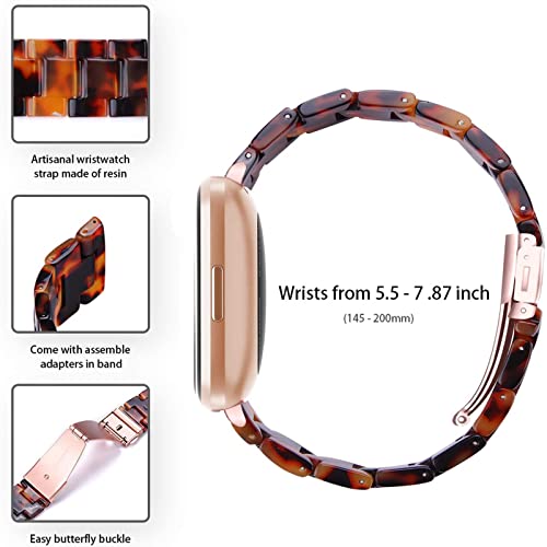 Correa compatible Fitbit Versa 2 resin con hebilla acero miniatura 6