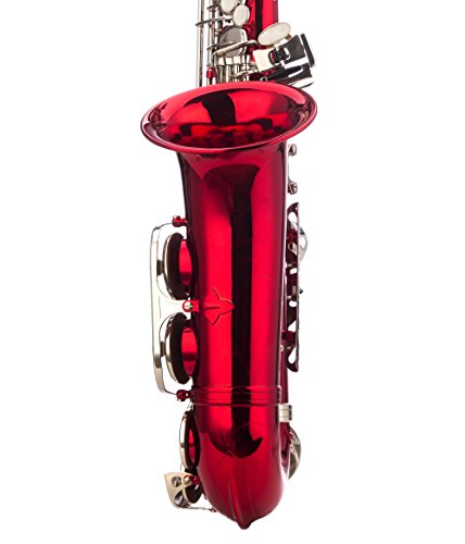 Image of Glory Red /Silver keys E Flat Alto Saxophone with 11reeds,8 Pads cushions,case,carekit