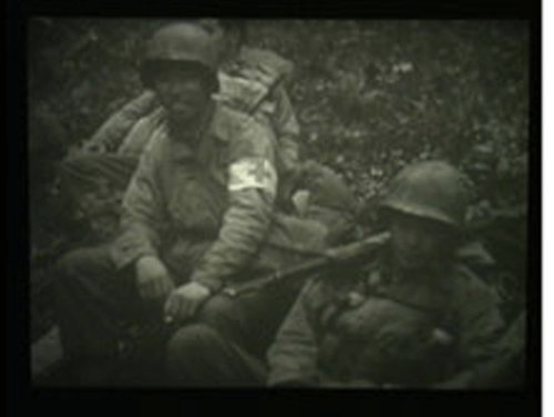442Nd Infantry Regiment:liberation Of Western Europe: Us Army World War Ii Combat Film Dvd Video #TOP4