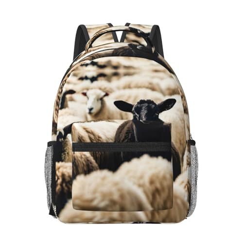 Mochila de viaje aprobada por vuelos EdWal bolsa de trabajo ergonómica con compartimentos