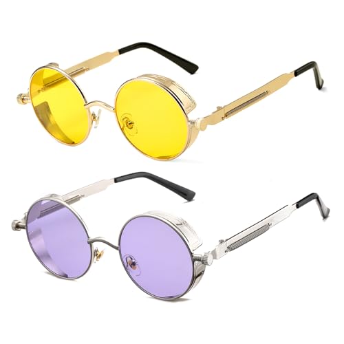 HJSTES Vintage Round Steampunk Sunglasses for Women Men Circle Gothic