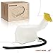 A-Premium Engine Coolant Overflow Recovery Reservoir Tank [with Cap & Tubing] Compatible with Chrysler PT Cruiser 2001-2010 2.4L - Front Side