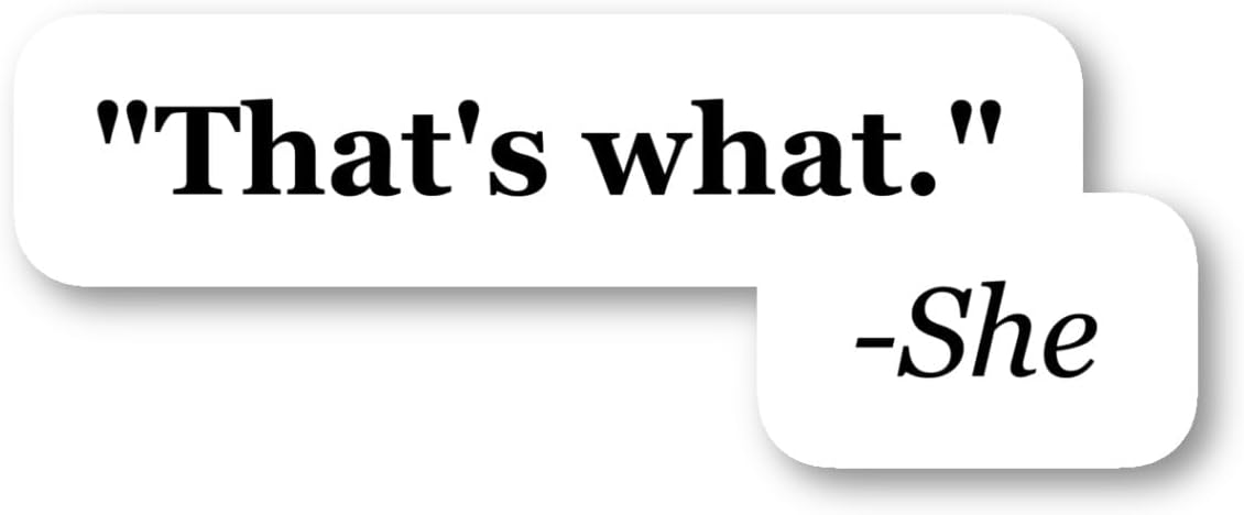 That's What She Said Sticker Funny Quotes Stickers - 3 Pack - Set of 2.5, 3 and 4 Inch Vinyl Laptop Stickers - for Laptop, Phone, Water Bottle, Car & More Decal (3 Pack) S4235-3Pack