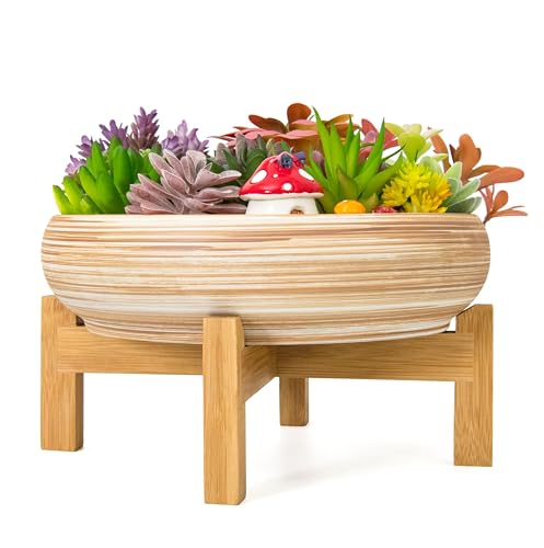 ARTKETTY Macetas Decorativas para suculentas y Cactus, Grandes, para bonsái, 25,4 cm, con Soporte de Drenaje, de cerámica, Poco Profundas, para Plantas de Interior