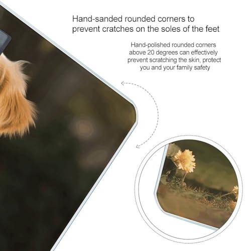 Báscula digital para perros Golden Retriever de 400 lb miniatura 4