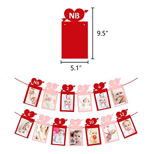 Image of FestikoValentine's Day 12 Months Photo Banner Heart Theme Garland Pink Red Valentine's Day 1st Birthday Party Newborn First Year Decor