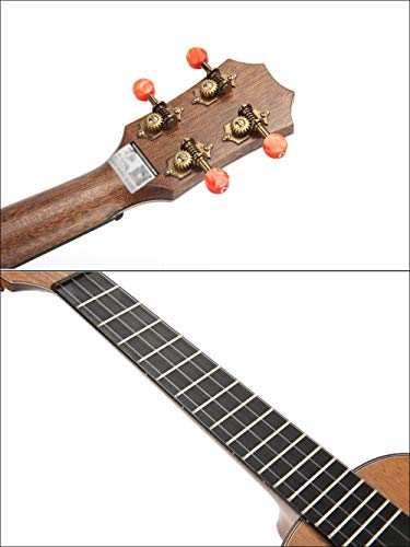 Ukulélé acajou Ukelele Start Kits pour débutants enfants adultes avec sac de transport Tuner Strap Strings - Les Beatles, Paul McCartney, John Lennon, RIngo Starr, George Harrison Ukulélé acajou Ukelele Start Kits pour débutants enfants adultes avec sac de transport Tuner Strap Strings – Image 3