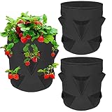 10 Gallon Strawberry Grow Bags with 8 Side Grow Pockets, Breathable Fabric Planter Bag for Growing Strawberry, Pack of 2
