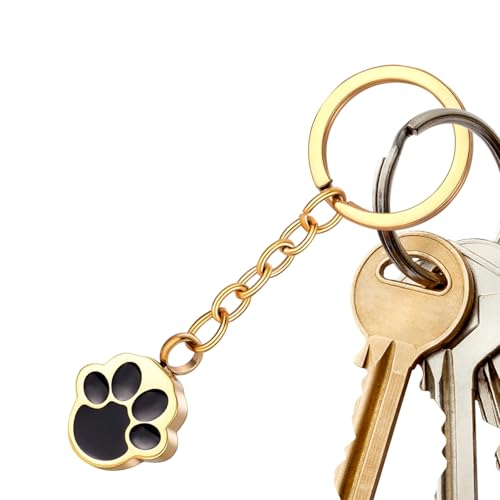 Llavero De Pata De Gato - Abrible De Acero Inoxidable Decoracion Novedosa,Recuerdo De Cenizas De Perro - Para Trabajo Oficinas Situaciones Sociales Hogar Dormitorio Escuela Vacaciones Uso Diario