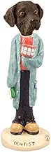 Conversation Concepts Labrador Retriever Chocolate Dentist Doogie Collectable Figurine