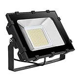 Viugreum Faro LED da Esterno 100W 12000 lumen Bianco...
