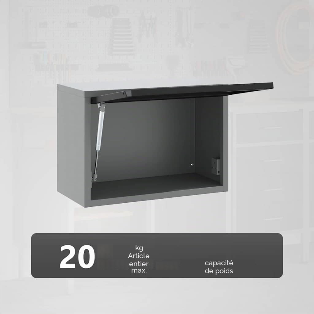 vidaXL Armoire à outils avec stockage Noir et gris 50 x 25 x 35 cm, Atelier, coffre à outils en acier rectangulaire, rangement durable, organisateur moderne pour garage