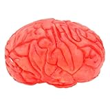 Garneck Human Brain- Fake Human Brain for Halloween Party, Horror Haunted House Decoration, Pranks, Stage Props