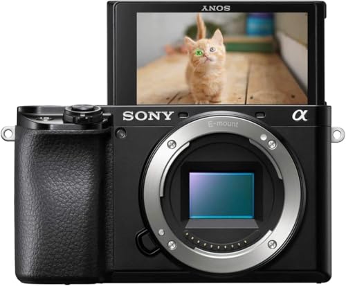 Sony Alpha 6100 | Appareil Photo Numérique Hybride APS-C (24, 2 MP, AF en 0.02s, Suivi des Yeux Humains et Animaux, Vidéo 4K, Ecran Selfie Vlogging) (ILCE6100, A6100)