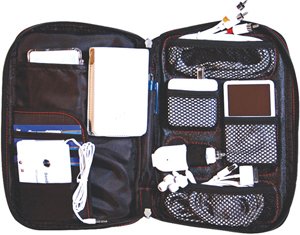 Dreamgear Dgipod-373 Ipod Travel Case