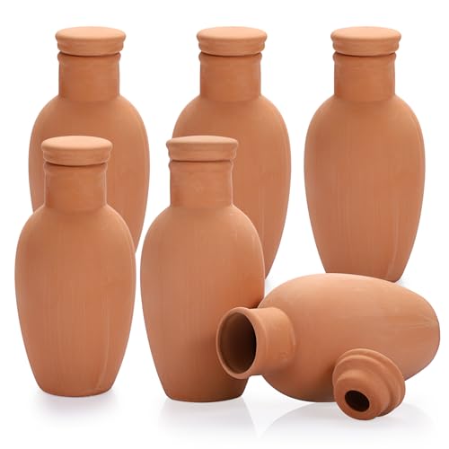 JUXYES 6 Pack Terracotta Self Watering Olla Pots with Lid, 18oz Plant Watering Globes, Terra Cotta Plant Waterer Spikes, Vacation Self Watering Olla Pot Irrigation for Indoor and Outdoor