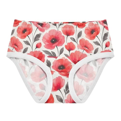 Joisal Watercolor Red Pink Flowers Panties for Girl Girls Underwear Toddler Cotton Stylish Kids Undies Briefs 2t