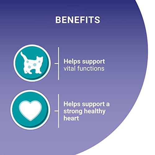 Purina ONE Senior 7+ Katzenfutter Huhn und Rind, 8 x 85g, transparent