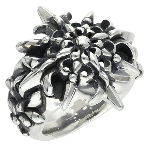 [Vh̑] AgG OhWm[NX O Vo[ w 13 YO NX \  tA [ S̖ uh