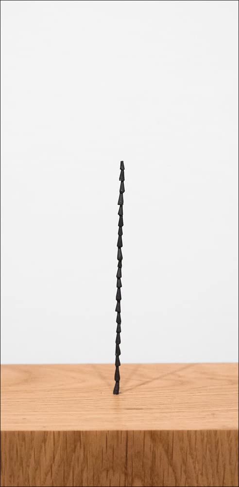 Shilpa Gupta (The Curve, 34)