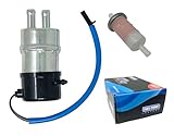 Fuel Pump and Fuel Filter for Honda VFR750F 1990-1997, Replaces Honda 16710-MT4-000/16900-MG8-003