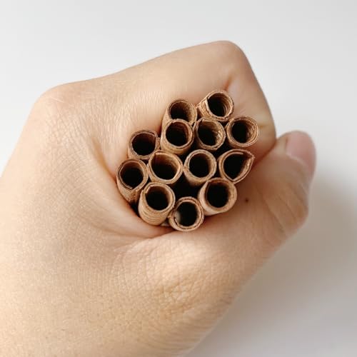 50 sets mechas de madera espiral 8x8mm con base de hierro miniatura 2