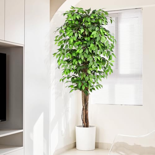 Keeplsh albero artificiale di ficus alto 7 piedi (circa 210 cm) è realizzato con materiale di seta durevole e di alta qualità, con 1760 foglie di tessuto di seta di alta qualità, caratterizzate da una texture realistica che conferisce a questo Ficus Artificiale un aspetto rigoglioso e lussuoso. Ha 3 tronchi naturali di legno di bovino giallo con un design a vite intrecciata, arricchiti con muschio essiccato reale, che sembra così autentico come quello naturale.