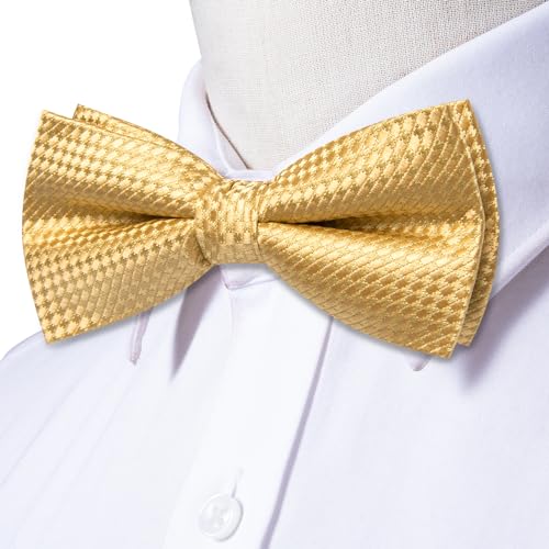 Image of Dubulle Mens Paisley Striped Bowtie Set Pre-tied Bowtie for Men and Pocket Square Set Wedding Business