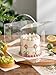 Hzzycaxli 20pcs 6X6X5 Inches Transparent Bakery Boxes with Handles, Mini Clear 5in 6in Cake Boxes,Clear gift boxes,Treat Boxes for Cake Chocolate Donut,Pastries,Cookies