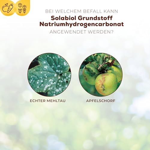 Solabiol Grundstoff Natriumhydrogencarbonat, natürliche Abwehr von Pilzkrankheiten an Pflanzen, 350 g Konzentrat