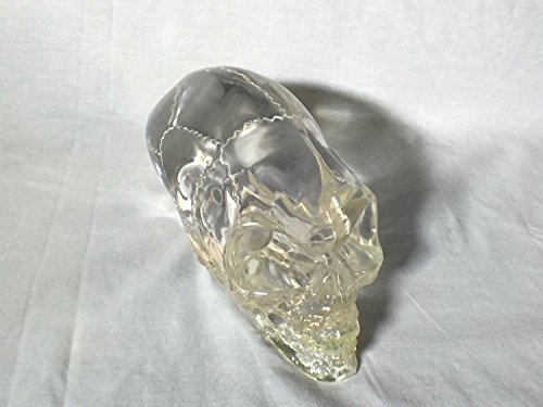 Reel Art INDY-AIEN-SKULL Indy, Alien Crystal Skull Real Prop Replica, Signed, Numbered, Limited Edition thumb #7