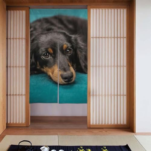 のれん ソファーの上でくつろぐ ダックスフンド 犬 おしゃれ 間仕切り ロングカーテン 遮光 のれん 玄関 リビング キッチン 出入り口 幅86cm丈143cm x102