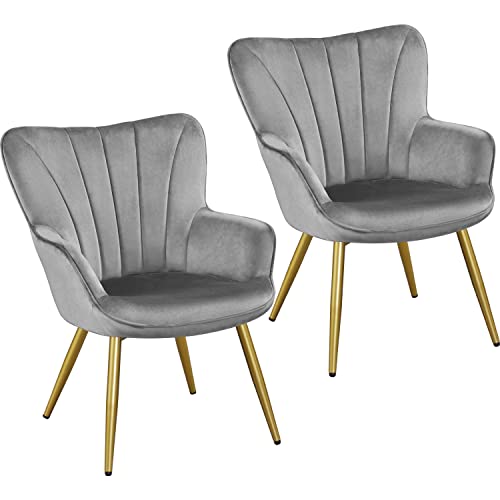 Yaheetech Velvet Accent Chair, Modern Armchair with Wing Side and Metal Legs, Cozy and Soft Padded and High Back for Living Room/Home Office/Bedroom, Set of 2, Light Gray