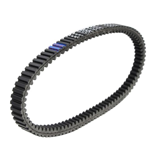Courroie d'entraînement pour SYM Cruisym 300 L8 EU et Joymax Z 300I ABS L9