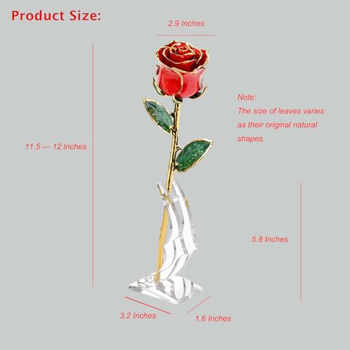 Image of Valentines Day Gift Rose, Gold Dipped Real Rose is Attractive Luster and Natural Shape, Best Gifts for Anniversary Wedding Valentines Day (Red Original Rose with Stand)