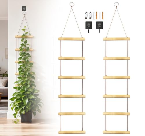 2-Pack Wooden Indoor Plant Ladder Trellis