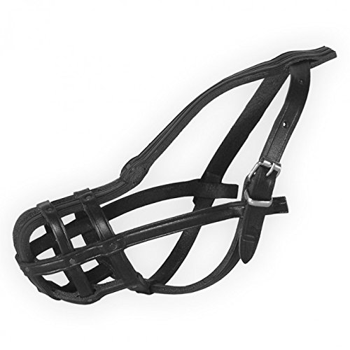 Dino Bigioni Bozal de piel para perro Shih Tzu n.º 5, longitud 6 cm, circunferencia 23 cm Cover