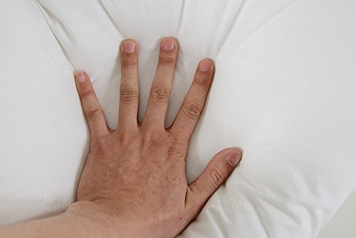 Cheer Collection And Plush Wedge Pillow For Reading In Bed Or Sleep Elevation #TOP5