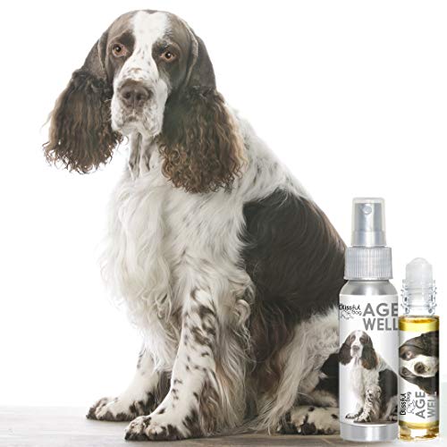 Image of The Blissful Dog Springer Spaniel Age Well Dog Aromatherapy Roll-On Bottle for Your Dog's Peaceful Ageing