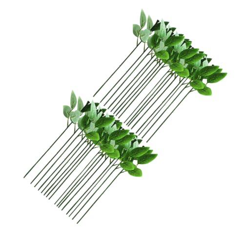 HOMSFOU lHǒsC[ 40{Zbg tFCNvgNtgp ΂̉Ԃ̌sC[ DIYt[AWg z[fR[V