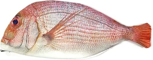 Estojo de lápis em forma de peixe bonito estilo coreano pano sacos de material escolar artigos de papelaria caixa de caneta quente presente (Vermelho)