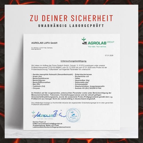 MSM Tabletten hochdosiert - 2000 mg MSM mit natürlichem Vitamin C aus Acerola - Vorrat für 4 Monate - Alternative zu MSM Kapseln - Methylsulfonylmethan vegan laborgeprüft