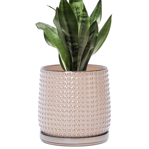 D'vine Dev 27-C-X-4 Keramik-Perlen-Übertopf aus Steingut, Blumentopf mit Drainagelöchern und Untersetzern für Sukkulenten oder Blumen, im Innenbereich, Hellbraun