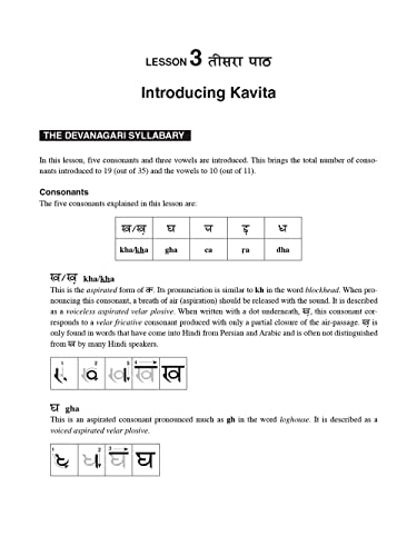 Elementary Hindi: Learn to Communicate in Everyday Situations (Audio Included) - Image 7