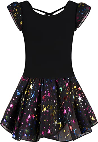 Image of DANSHOW Ballet Leotards for Girls Dance Skirted Leotard Kids Ballet Tutu Dress Toddler Shiny Ruffle Sleeve Dancewear