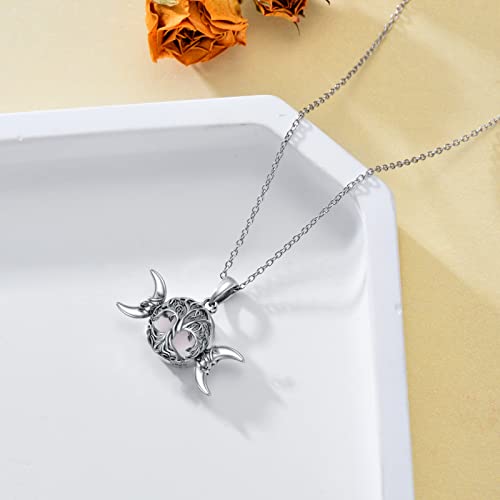 WINNICACA Tree of Life Necklace 925 Sterling Silver Family Celtic Tree Necklace Dainty Pendant Irish Jewelry Birthday Anniversary Christmas Gifts for Women Mom Wife Girlfriend 6