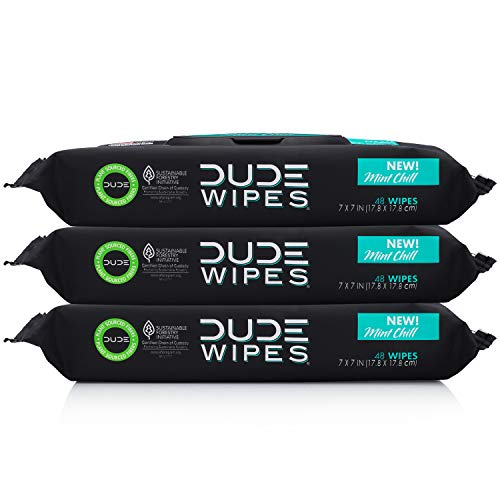 DUDE Wipes Flushable Wet Wipes Dispenser, Mint Chill, 48 Count (Pack of 3) Scented Wet Wipes with Vitamin-E, Aloe, Eucalyptus & Tea Tree Oils for at-Home Use, Septic and Sewer Safe